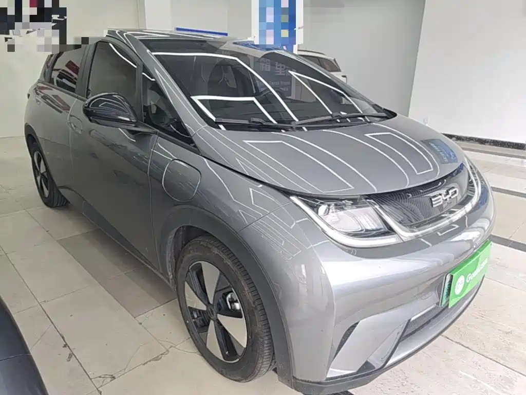 Фото 4 - BYD Dolphin
