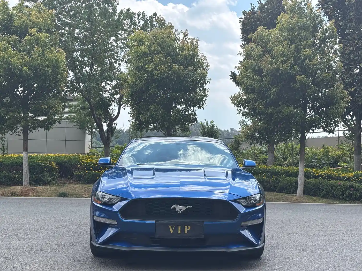 FORD MUSTANG