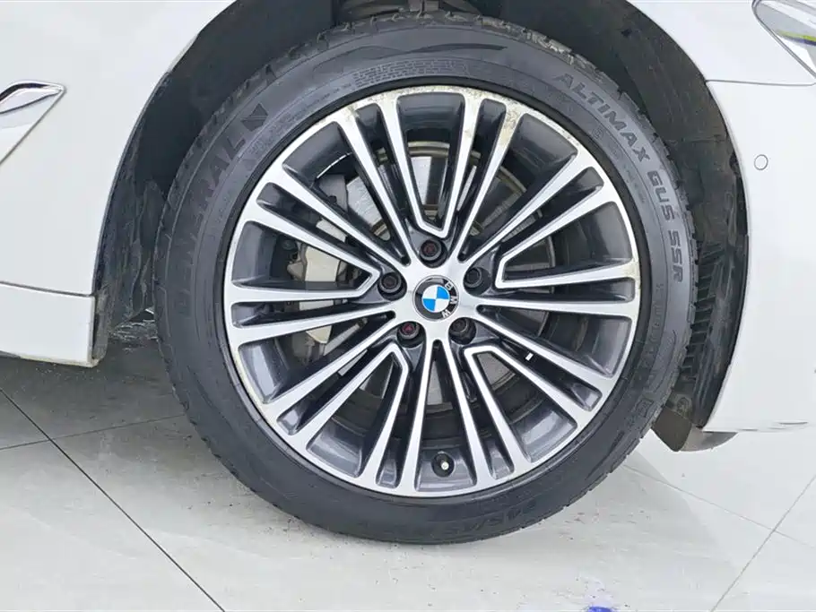 BMW 5 Series 2019 530Li Premium Luxury Package фото 6