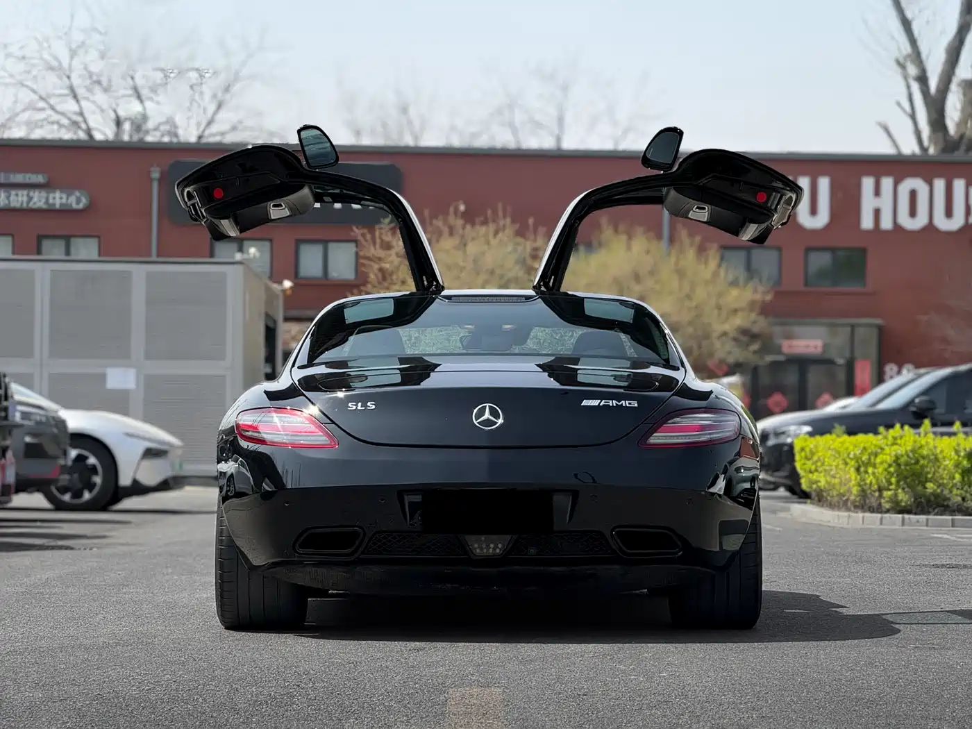 Mercedes-Benz SLS AMG 2011 SLS AMG фото 15