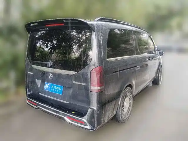 Mercedes-Benz V-Class 2018 V 260 Pilot Edition China V — фото 2
