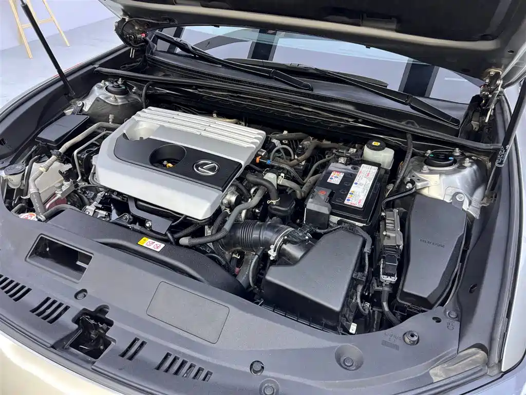 Lexus ES 2021 200 Excellence Edition фото 28