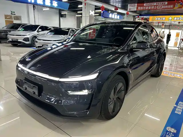 Tesla Model Y Задний привод