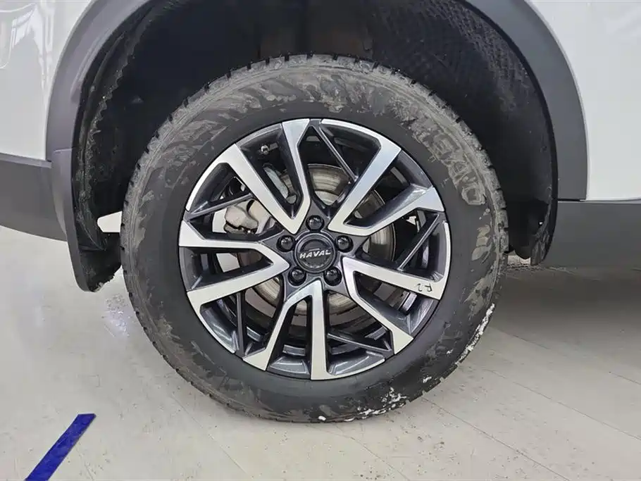 Haval H6 2024 Model 1.5T 2WD Classic Edition фото 6