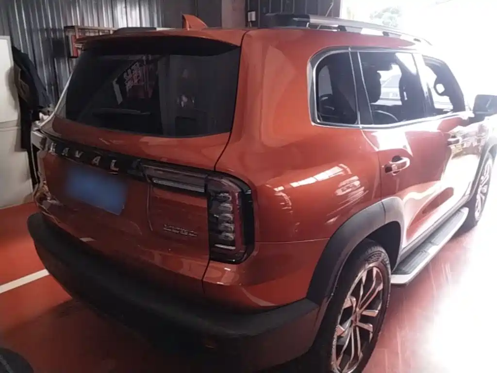 Фото 7 - Haval Big Dog