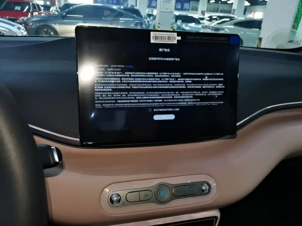 BYD Seagull 2026 2025 Smart Drive Edition 305km Vitality Version