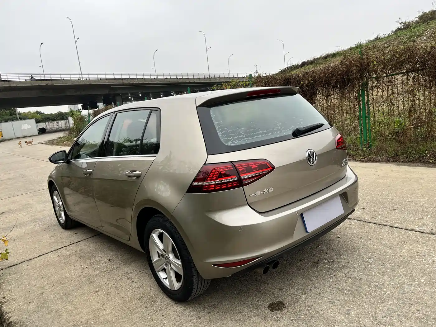 Volkswagen Golf 2017 230TSI Auto Comfort Millionth Anniversary Edition фото 18