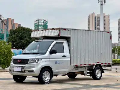 Wuling Rongguang Xinka