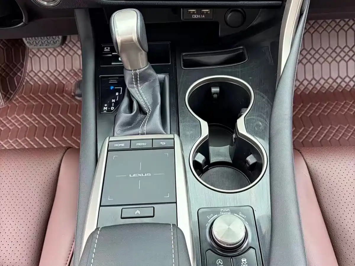 Lexus RX 2020 Facelift 300 2WD Elite Edition фото 13