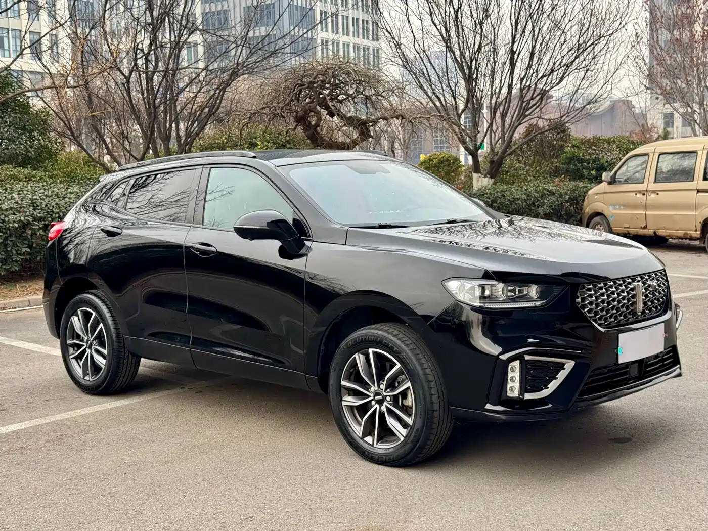 WEI PAI WEI BRAND VV5