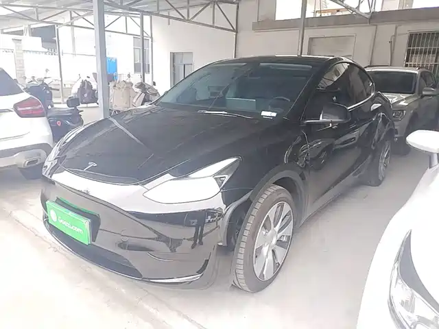 Tesla Model Y Задний привод