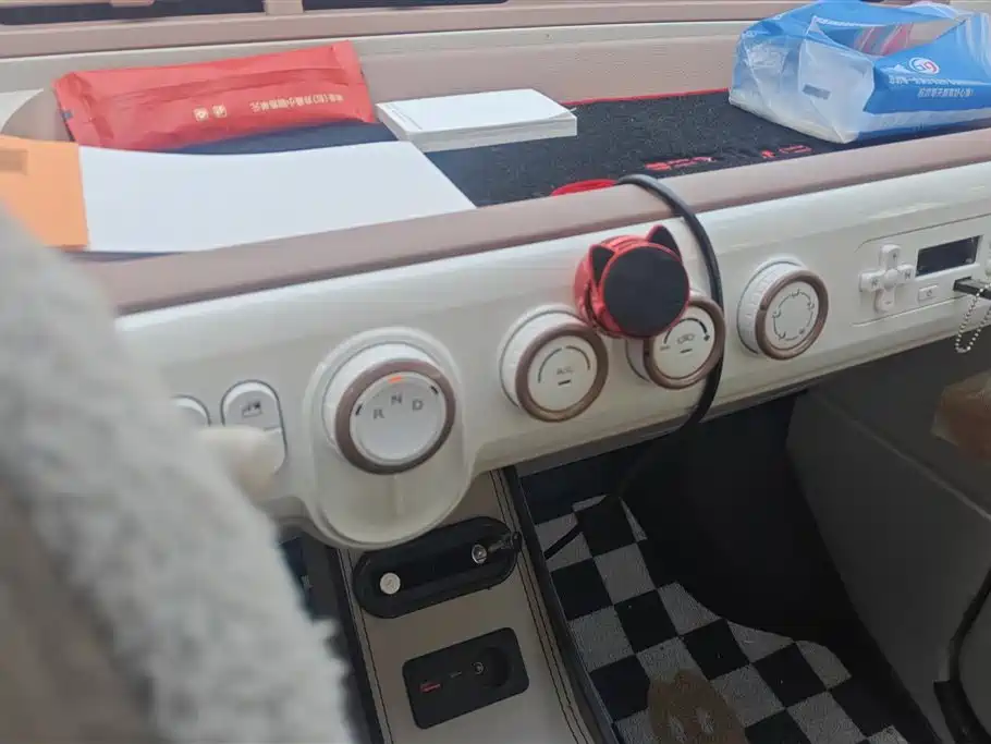 BESTUNE PENTIUM PONY