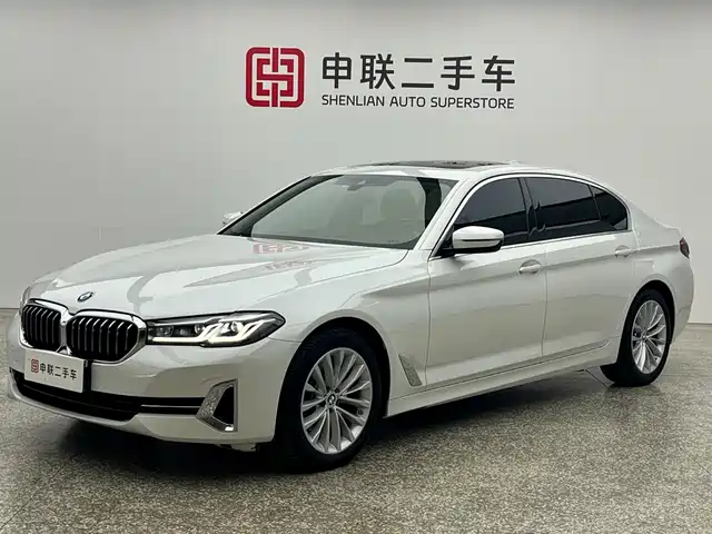 BMW 5 Рестайлинг, 525Li, Люкс-пакет