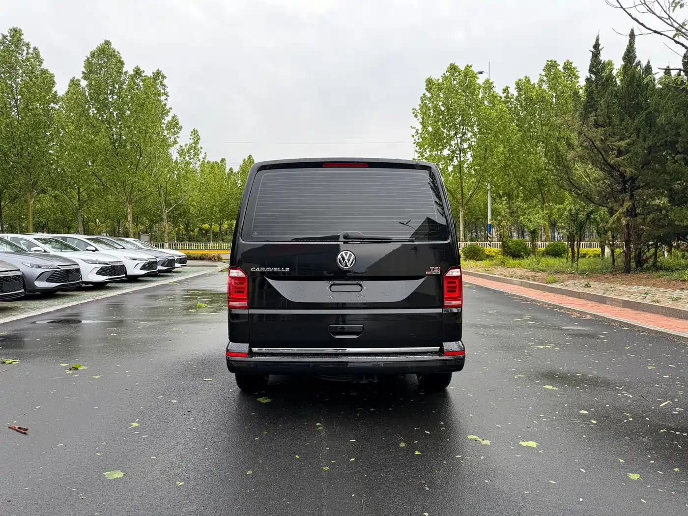 Volkswagen Caravelle 2018 2.0TSI 4WD Luxury Edition 7-Seater фото 6