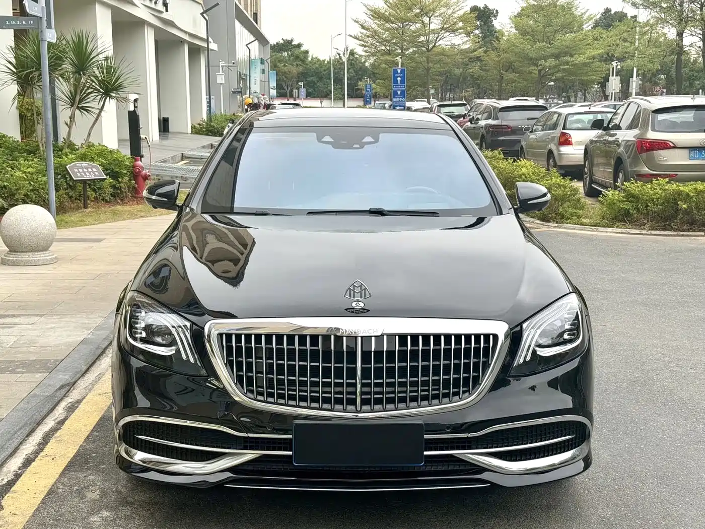 Mercedes-Benz Maybach S-Class 2020 S 450 4MATIC Collector's Edition фото 2