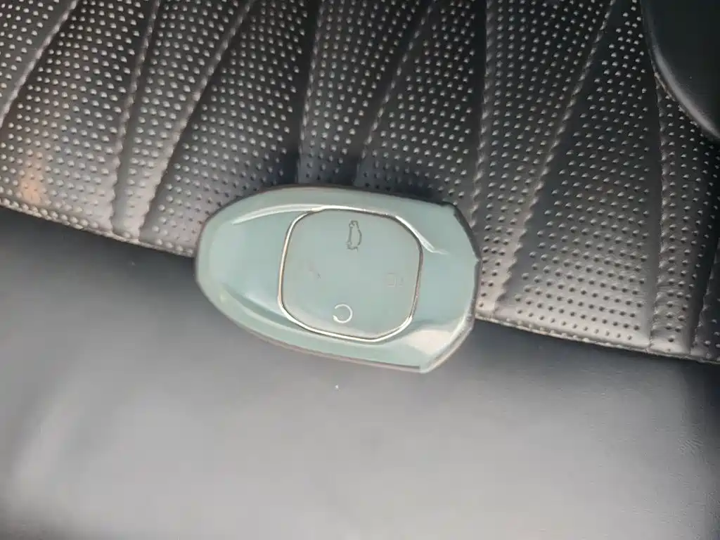 Photo 12 - GAC Trumpchi Trumpchi GS8