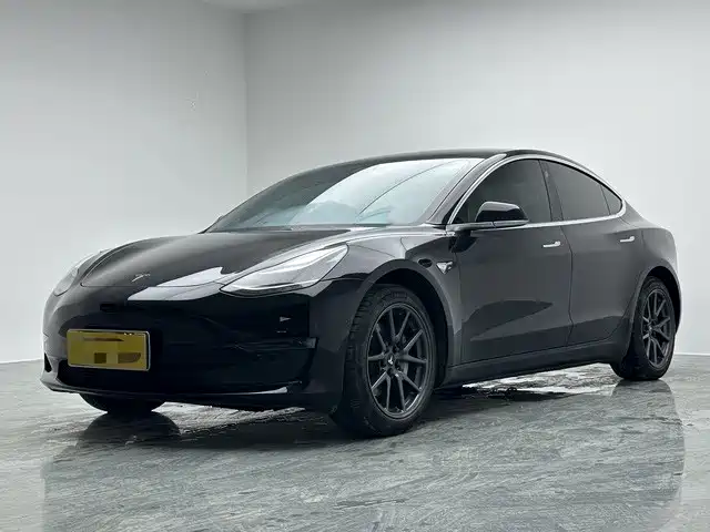 Tesla Model 3 (Import) 2019 2019 Long Range RWD Version