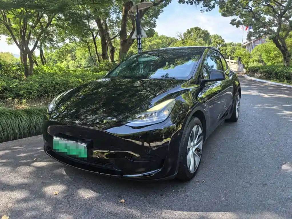 Tesla Model Y 2022 Rear-Wheel Drive Version