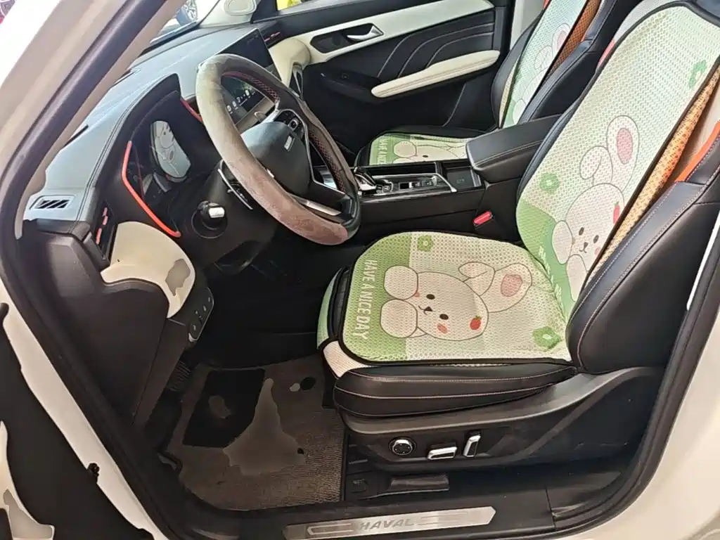 Haval Chitu 2021 2021 Boost Edition 1.5T Platinum Rabbit