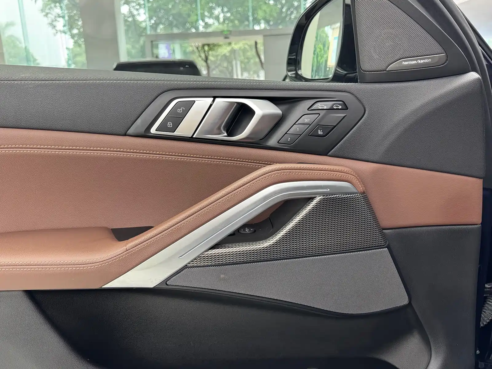 Photo 10 - BMW X6