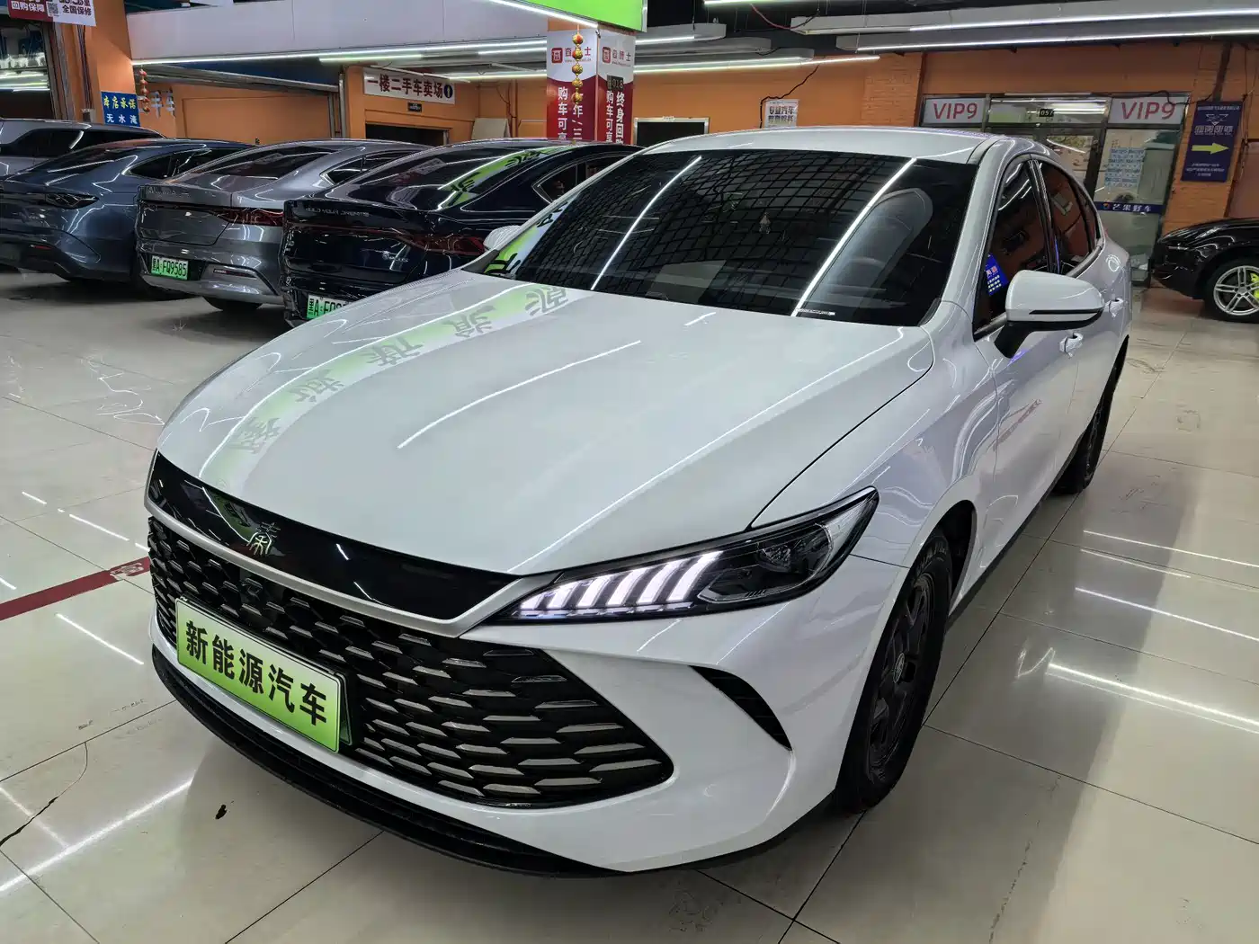 BYD Qin PLUS 2025 — пригон из Китая