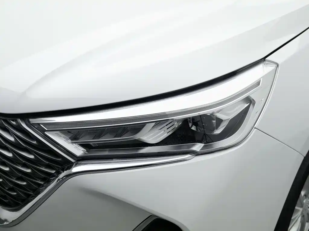 Haval M6, миниатюра 7