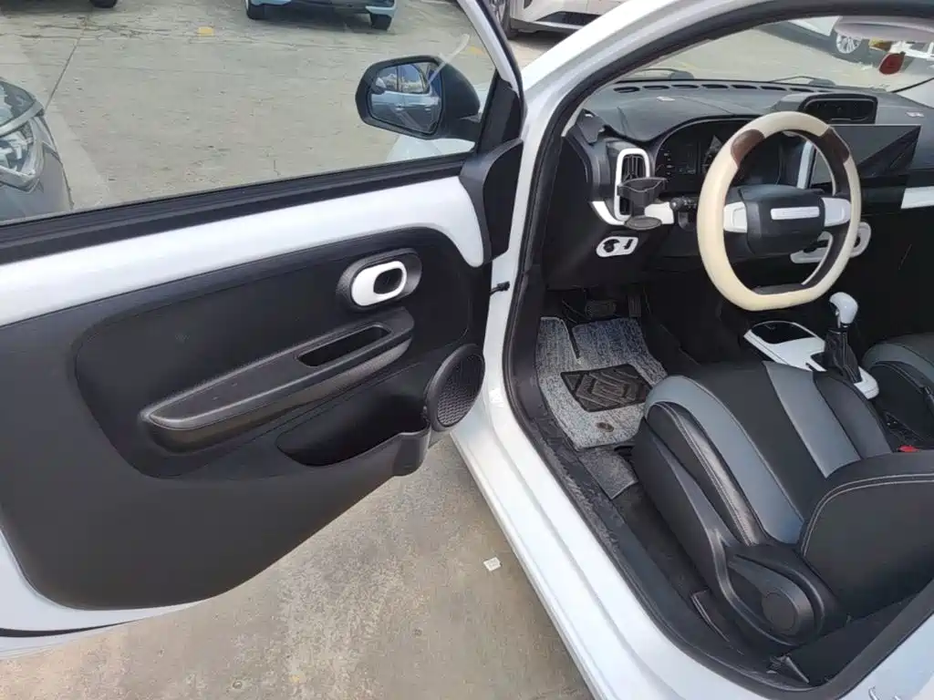 Roewe Clever 2023 2022 311km Vitality Bobo Edition