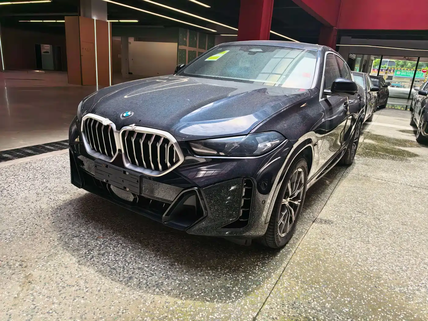 2026 BMW X6