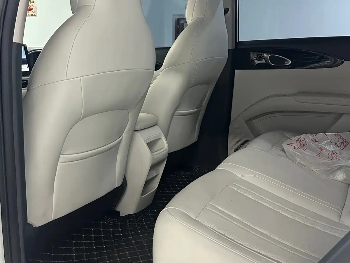 Geely Galaxy Starry Wish 2025 2025 310km Youth Edition