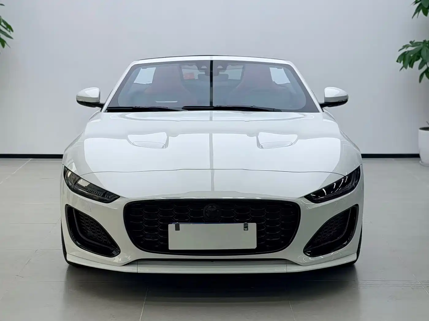 Jaguar F-TYPE 2024 2024 P300 75th Anniversary Collector's Convertible Edition