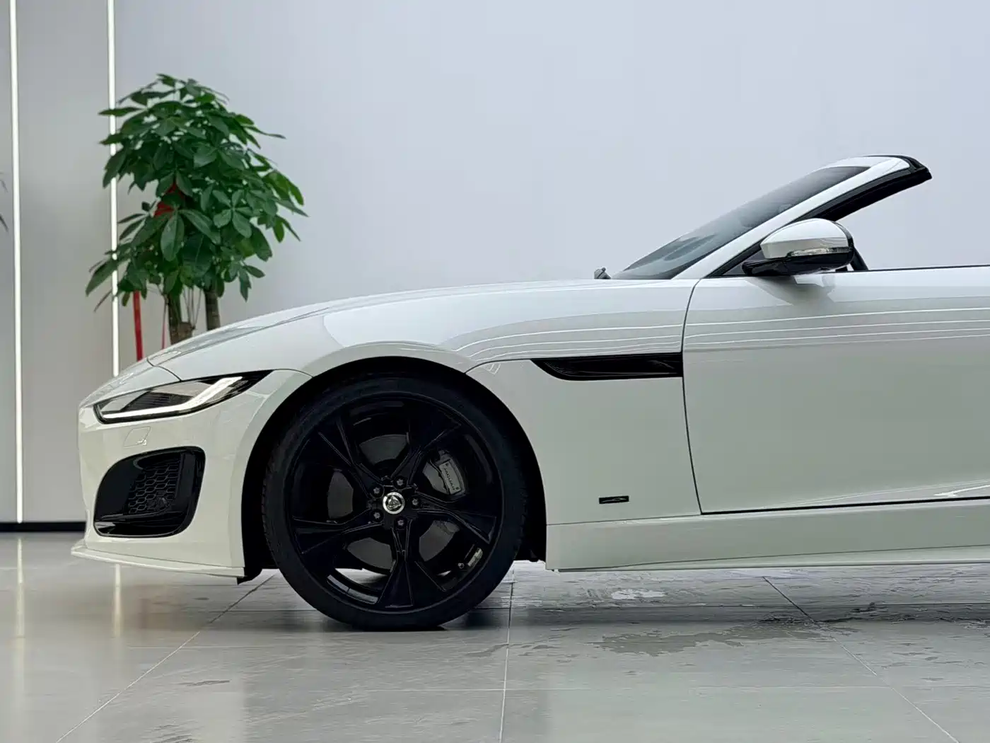 Jaguar F-TYPE 2024 2024 P300 75th Anniversary Collector's Convertible Edition