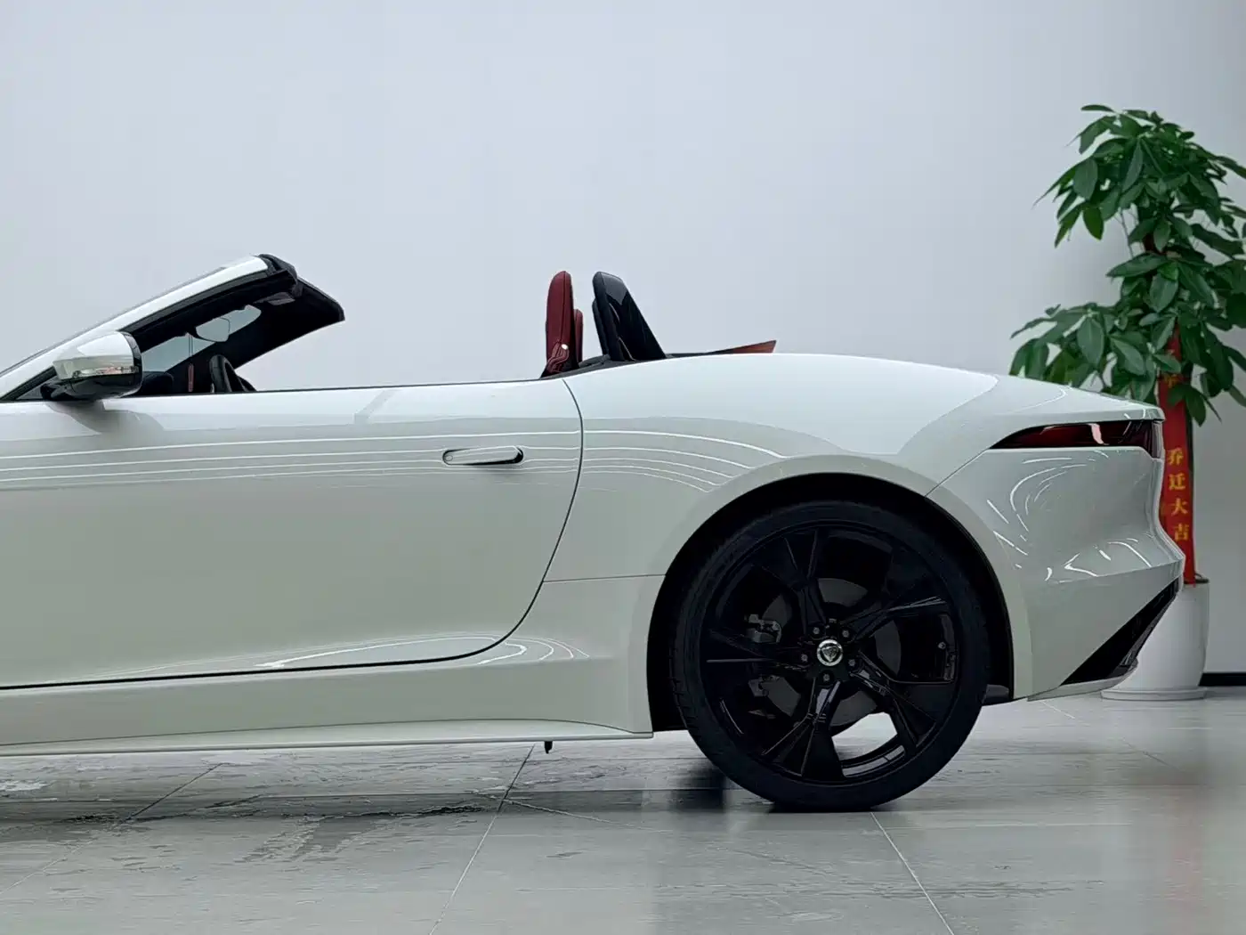 Jaguar F-TYPE 2024 2024 P300 75th Anniversary Collector's Convertible Edition