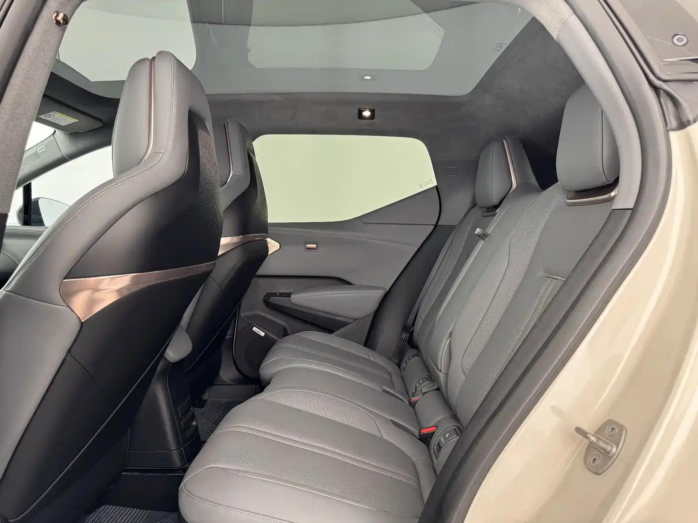 ZEEKR X 2023 2023 RWD YOU Edition 4-seater