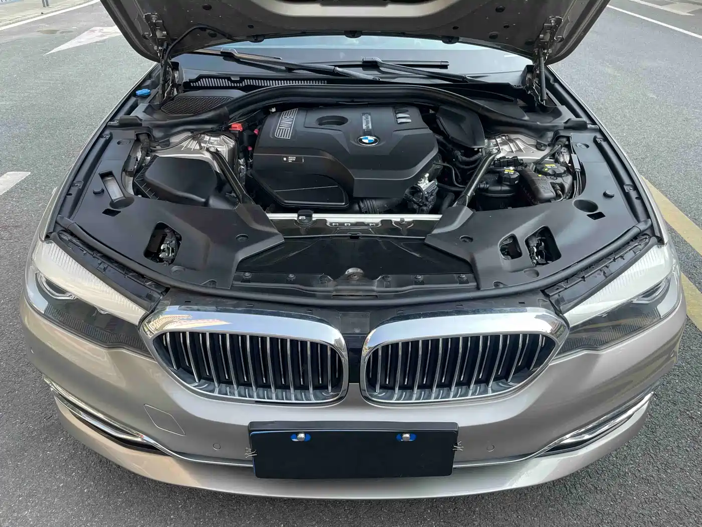 BMW 5 Series 2018 530Li Leading Luxury Package фото 21