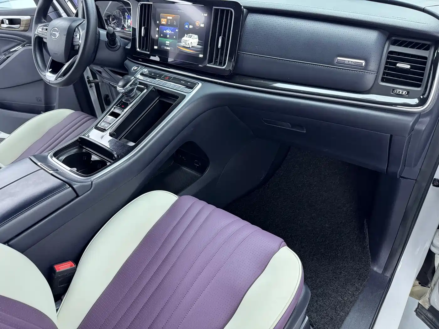 GAC Trumpchi Trumpchi M8 2021 Leading Show Series 390T Luxury Edition фото 11