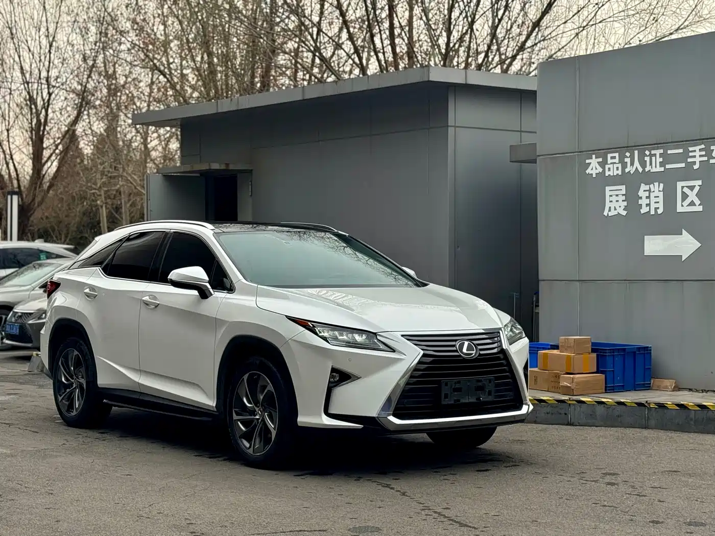 LEXUS RX