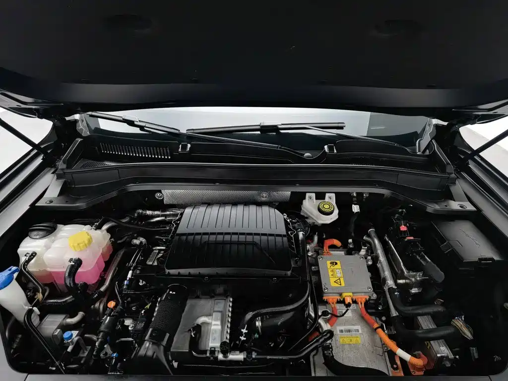 Chery Fengyun Fengyun T9 2024 2024 120 Long Range Comfort 5-seater LFP