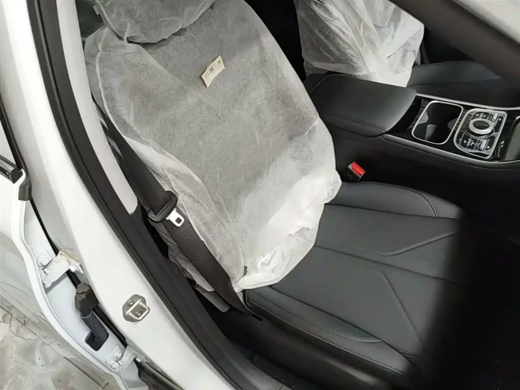 Geely Galaxy Galaxy Stellar 6 2025 Model 125km Free Edition фото 25