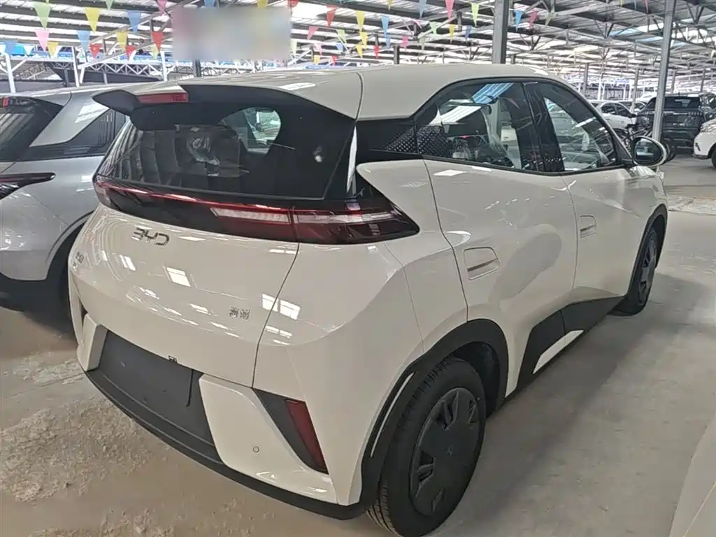 BYD Seagull 2025 Smart Drive Edition 305km Vitality Version фото 5