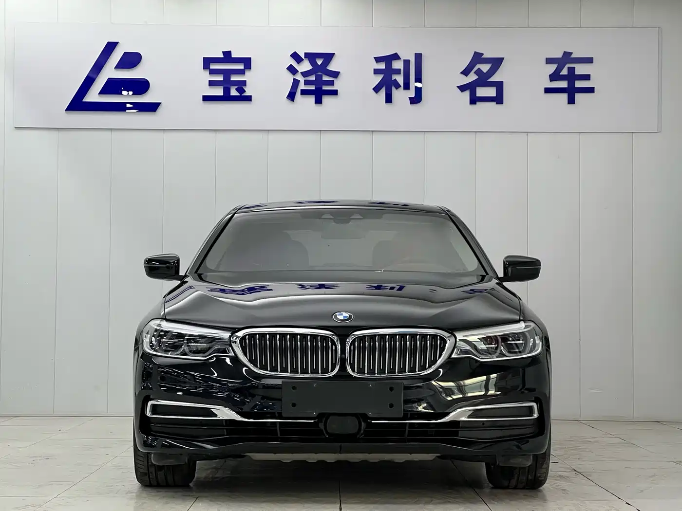 BMW 5 Series New Energy 2020 530Le Range Upgrade Luxury Package фото 2