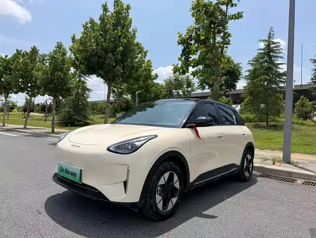 Geely Galaxy Starry Wish 2025 310km Youth Edition