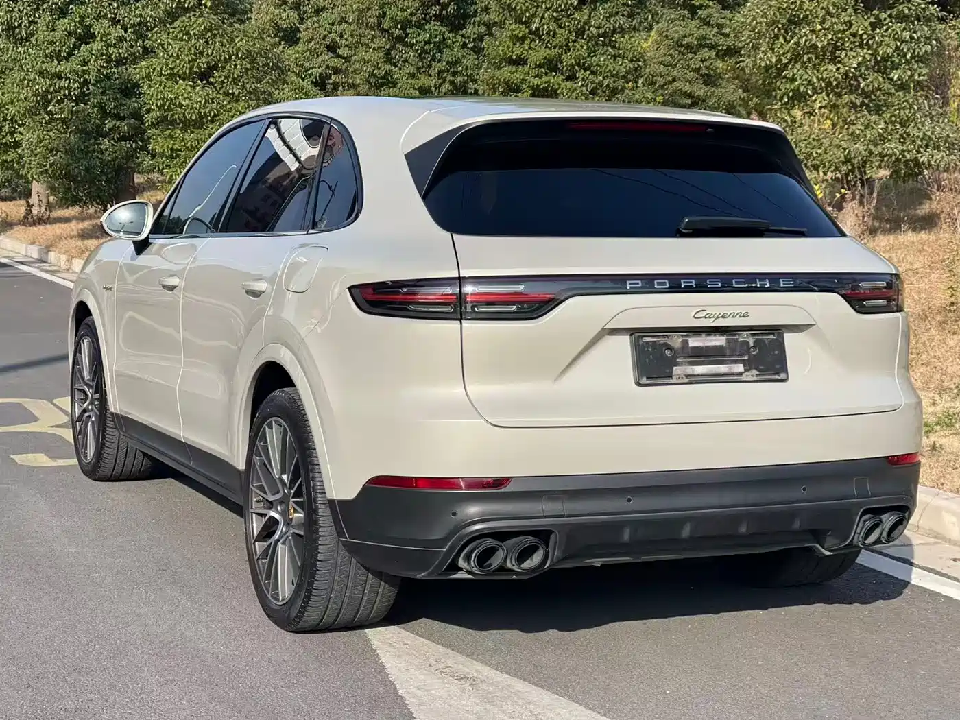 PORSCHE CAYENNE NEW ENERGY