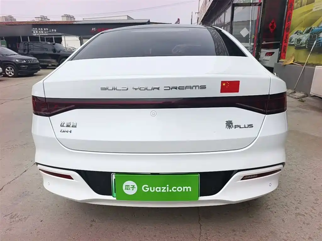 BYD Qin PLUS 2024 Glory Edition DM-i 55KM Leading фото 6