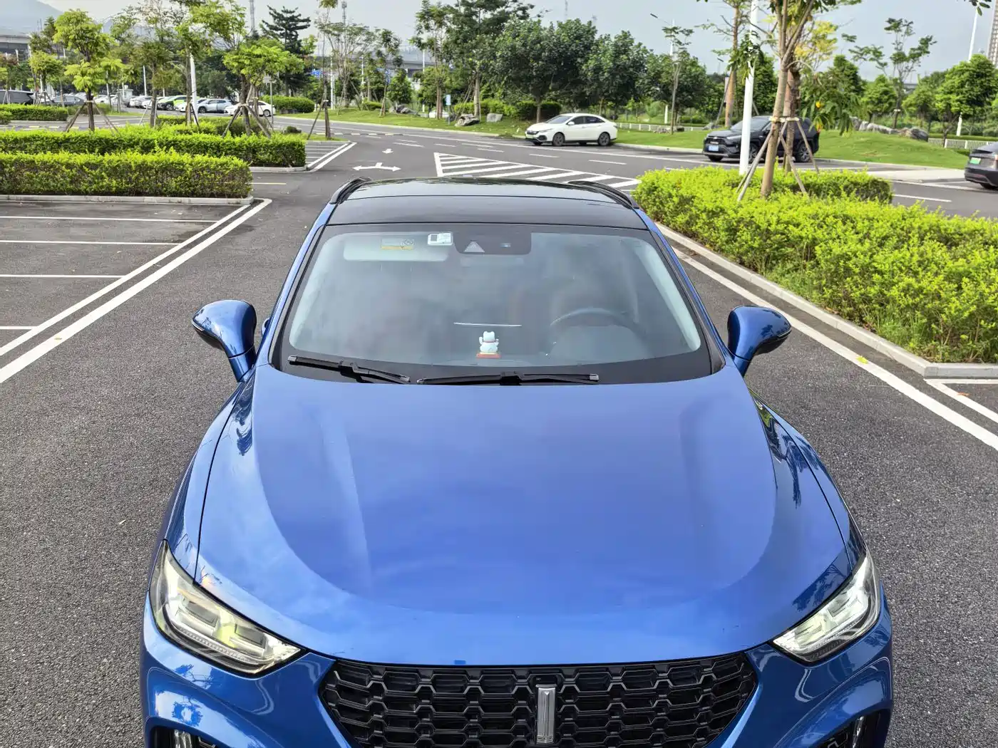 WEY VV5 2018 2017 2.0T Flagship Model