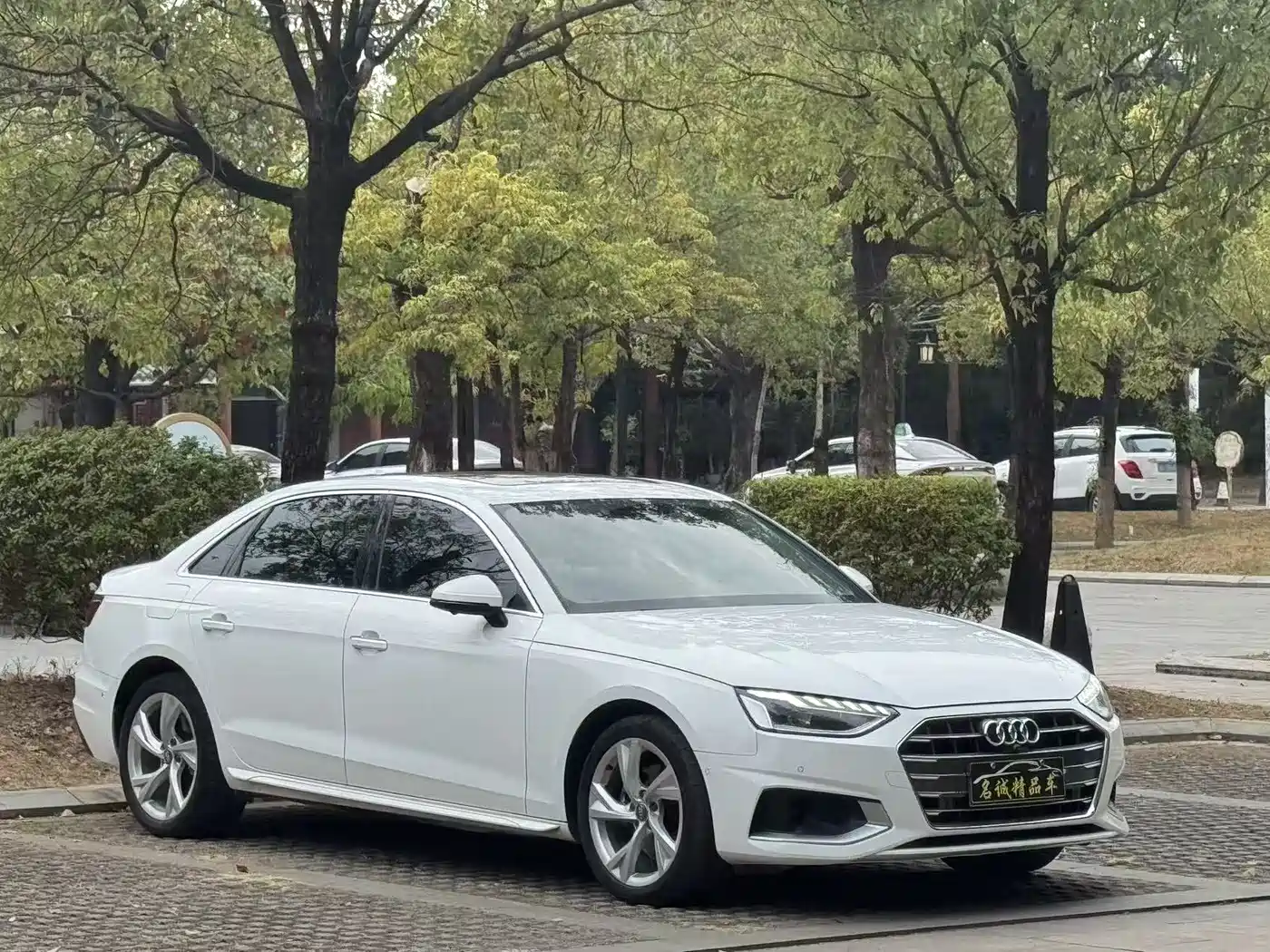 Audi A4L 2020 40 TFSI Luxury Elegance фото 3