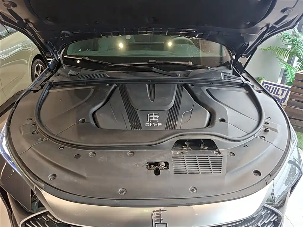 BYD Tang New Energy 2024 DM-p Glory Edition 215KM AWD Premium фото 20