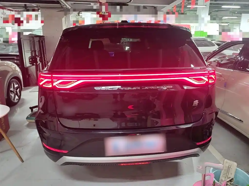 BYD Tang New Energy 2025 DM-i 115KM Premium фото 6