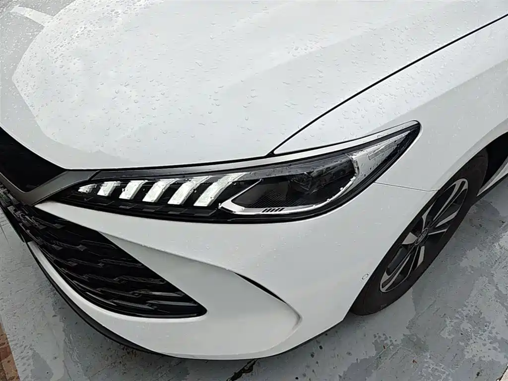 BYD Qin PLUS 2025 DM-i Smart Drive Edition 55KM Surpassing Type фото 24