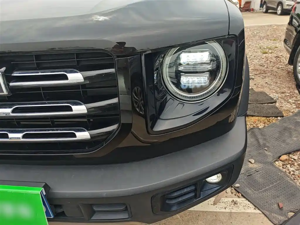 Haval Big Dog 2021 1.5T DCT 2WD Labrador Edition фото 24