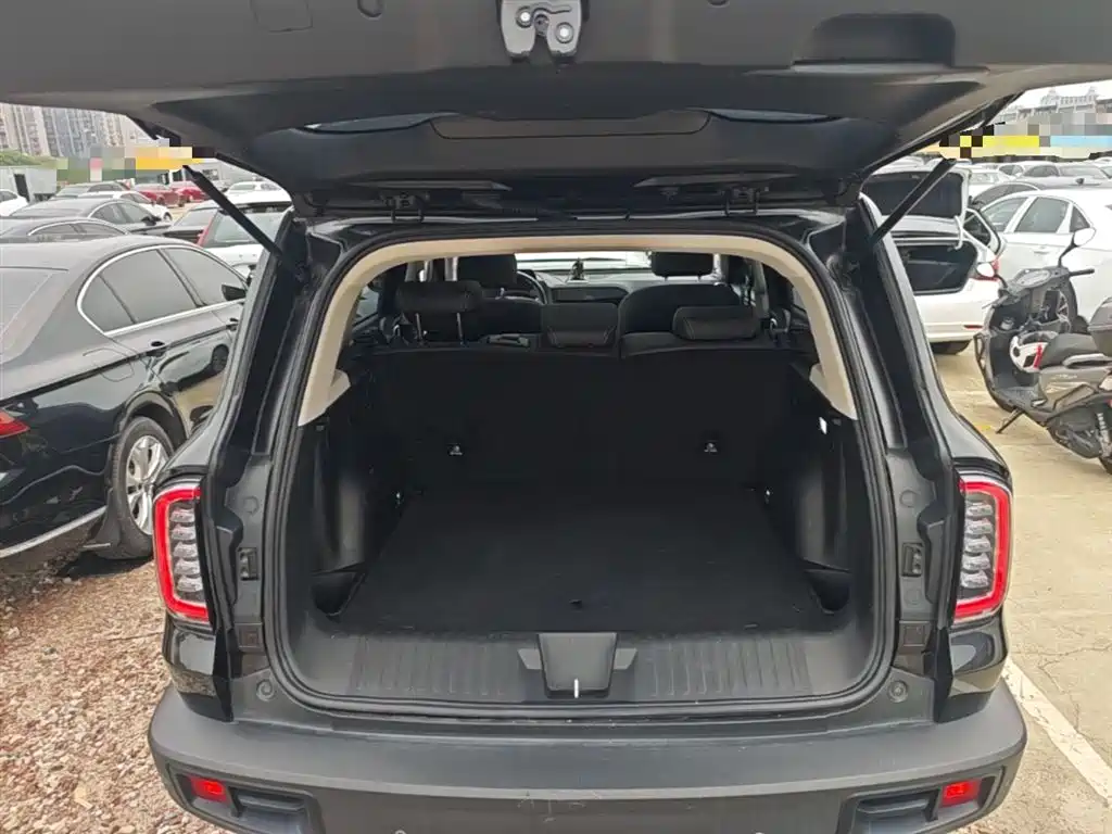 Haval Big Dog 2021 1.5T DCT 2WD Labrador Edition фото 19